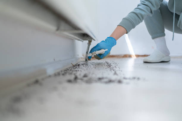 Best Cockroach Control Services  in Telford, PA