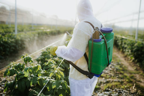 Best Pest Prevention Services  in Telford, PA